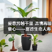 富德生命人寿“小海豚”计划关爱困境儿童展开长期公益帮扶(图4)