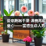 富德生命人寿“小海豚”计划关爱困境儿童展开长期公益帮扶(图2)