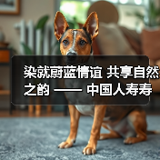 蓝染手工艺体验拉近客户关系 传统文化与现代服务共鸣(图2)