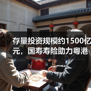 服务粤港澳大湾区创新保险解决方案(图3)