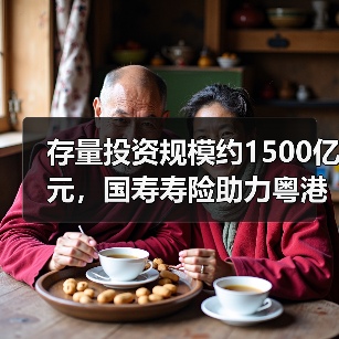 服务粤港澳大湾区创新保险解决方案(图4)