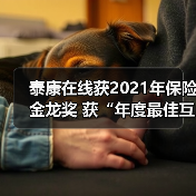 泰康在线科技赋能大健康 强化保险服务能力(图2)