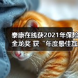 泰康在线科技赋能大健康 强化保险服务能力(图4)