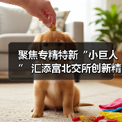 聚焦专精特新“小巨人” 汇添富北交所创新精选正式获批 将于19日发行(图4) 北交所创新精选基金聚焦专精特新投资机遇(图4)