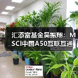 MSCI中国A50互联互通指数投资机遇分析(图4)