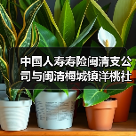 闽清支公司党支部与洋桃社区党总支部党建共建签约 共促社区和谐发展(图4)