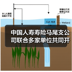 大学生金融权益保护校园宣传活动助力金融安全(图2)