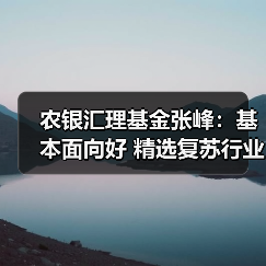 A股市场未来走势分析 张峰看好的行业布局(图1)