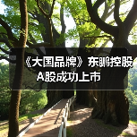 陶瓷行业又一家上市公司东鹏控股成功登陆资本市场(图1)