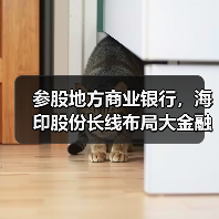 参股地方商业银行,海印股份长线布局大金融(图4) 海印股份金融服务产业转型布局分析(图4)