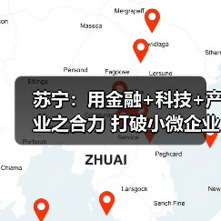 苏宁：用金融+科技+产业之合力 打破小微企业融资难题(图3)