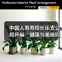 中国人寿寿险长乐支公司开展“健康与美丽同行 幸福与自信相伴”女性健康知识讲座(图1)