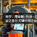 苏宁：用金融+科技+产业之合力 打破小微企业融资难题(图4)