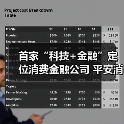 首家“科技+金融”定位消费金融公司 平安消费金融正式开业(图1)