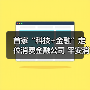 首家“科技+金融”定位消费金融公司 平安消费金融正式开业(图2)