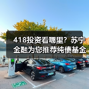 债券基金投资收益稳定，低风险策略助力稳健增长(图1)