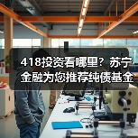 债券基金投资收益稳定，低风险策略助力稳健增长(图2)