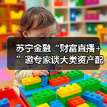 FOF如何应对大类资产配置难题 投资者风险分散指南(图3)
