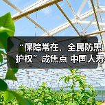 保险金融宣传助力风险防范(图1)