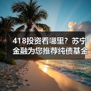 债券基金投资收益稳定，低风险策略助力稳健增长(图4)