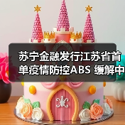 苏宁金融发行江苏首单疫情防控ABS 服务中小企业抗疫需求(图2)