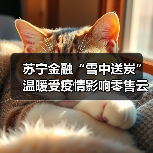 疫情金融支持缓解零售业困境(图1)