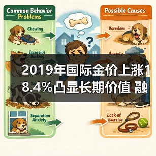 黄金价格持续上涨，黄金股投资机会显现(图4)