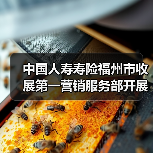 中国人寿寿险福州市收展第一营销服务部开展“防非反诈,守护钱袋子”社区3.15消费者权益日宣传服务活动(图4) 保险知识普及助力社区居民风险防范(图4)
