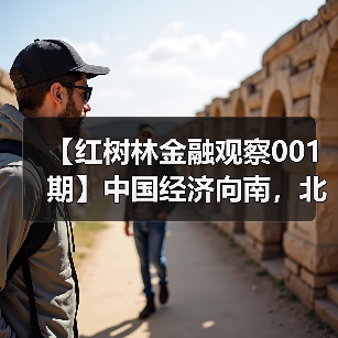 【红树林金融观察001期】中国经济向南，北海税收政策牵引力(图2)