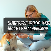 沪深300ETF发展潜力大 投资价值凸显(图1)