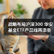 国内ETF市场潜力大 沪深300ETF成核心资产(图2)