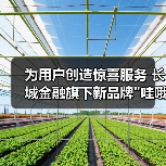 长城金融发布哇哦品牌，专注用户体验与惊喜服务(图1)