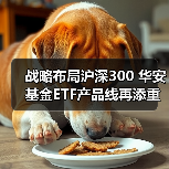 ETF市场机遇凸显，沪深300ETF低费率布局受关注(图4)
