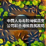 中国人寿寿险闽侯县支公司联合闽侯县民政局联合开展2025年“新春送温暖·助困情更深”慰问活动(图3)