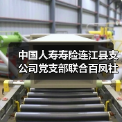 中国人寿寿险连江县支公司党支部联合百凤社区共建开展“我们的节日·春节”暨“节日感党恩，共话新时代”春节主题活动(图1)