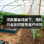 深度服务场景下，保险行业如何重塑客户体验？(图2)