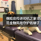 保险宣传进司机之家 防范金融风险守护钱袋子(图2)