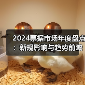 2024票据市场年度盘点：新规影响与趋势前瞻(图3)