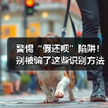 警惕“假还呗”陷阱！别被骗了这些识别方法(图1)