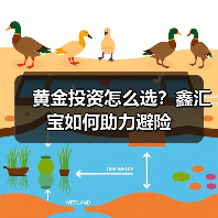 黄金投资怎么选？鑫汇宝如何助力避险(图2)