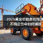 2025黄金价格走势预测：不确定性中如何捕捉结构性机遇？(图4)
