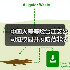 中国人寿寿险台江支公司进校园开展防范非法金融活动宣传(图2)