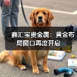 鑫汇宝贵金属：黄金布局窗口再度开启(图3)
