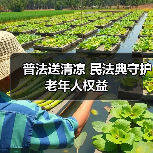 普法送清凉 民法典守护老年人权益(图4)