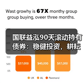 国联益泓90天滚动持有债券：稳健投资，耕耘丰盈未来(图1)
