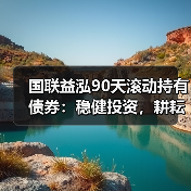 国联益泓90天滚动持有债券：稳健投资，耕耘丰盈未来(图2)
