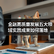 金融高质量发展五大领域实践成果如何落地(图3)