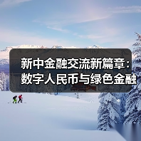新中金融交流新篇章：数字人民币与绿色金融如何携手共赢？(图4)