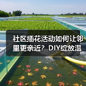 社区插花活动如何让邻里更亲近？DIY绽放温馨五月(图4)