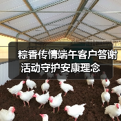 粽香传情端午客户答谢活动守护安康理念(图2) 粽香传情端午客户答谢活动守护安康理念(图2)